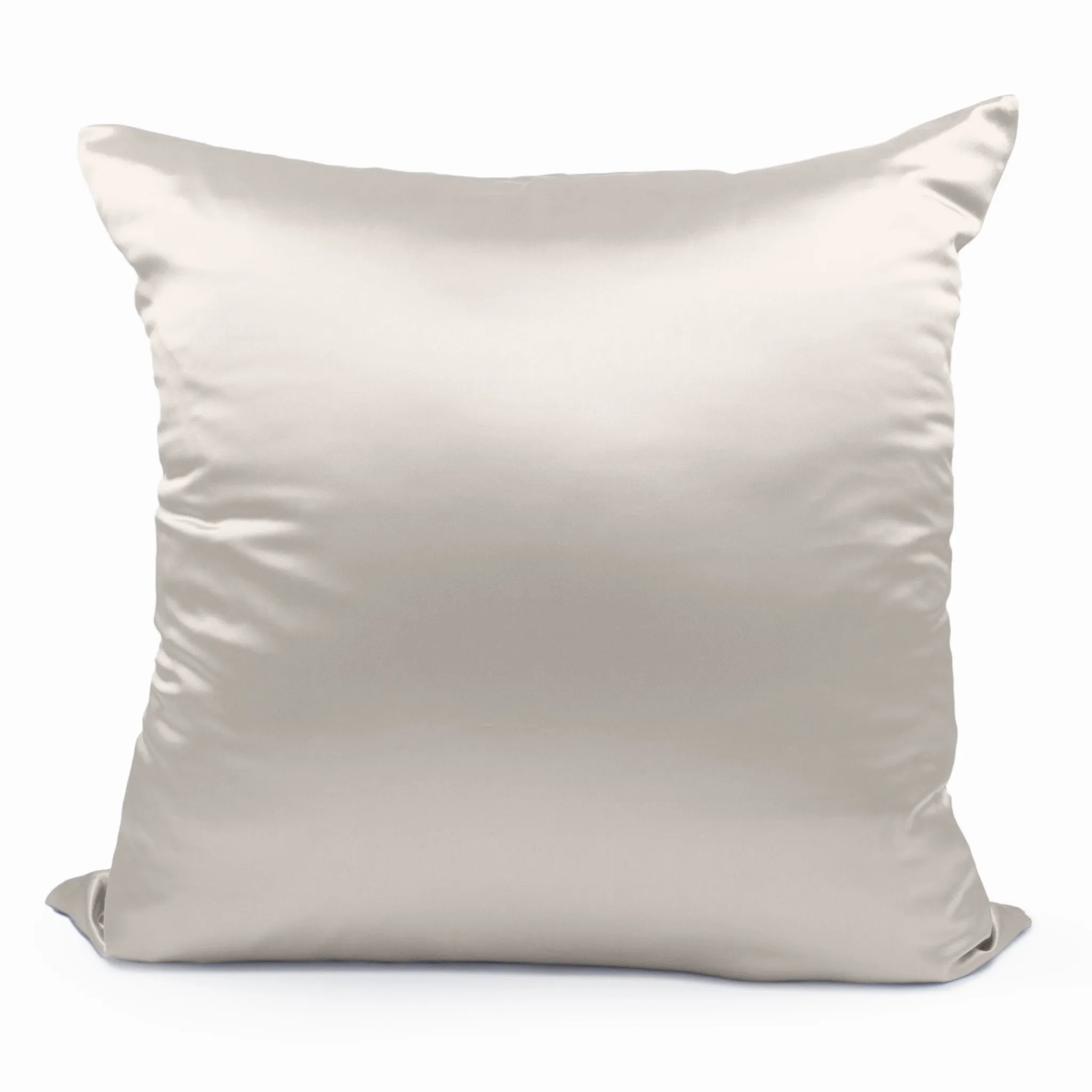 22 Momme Silk Euro Sham - Ivory