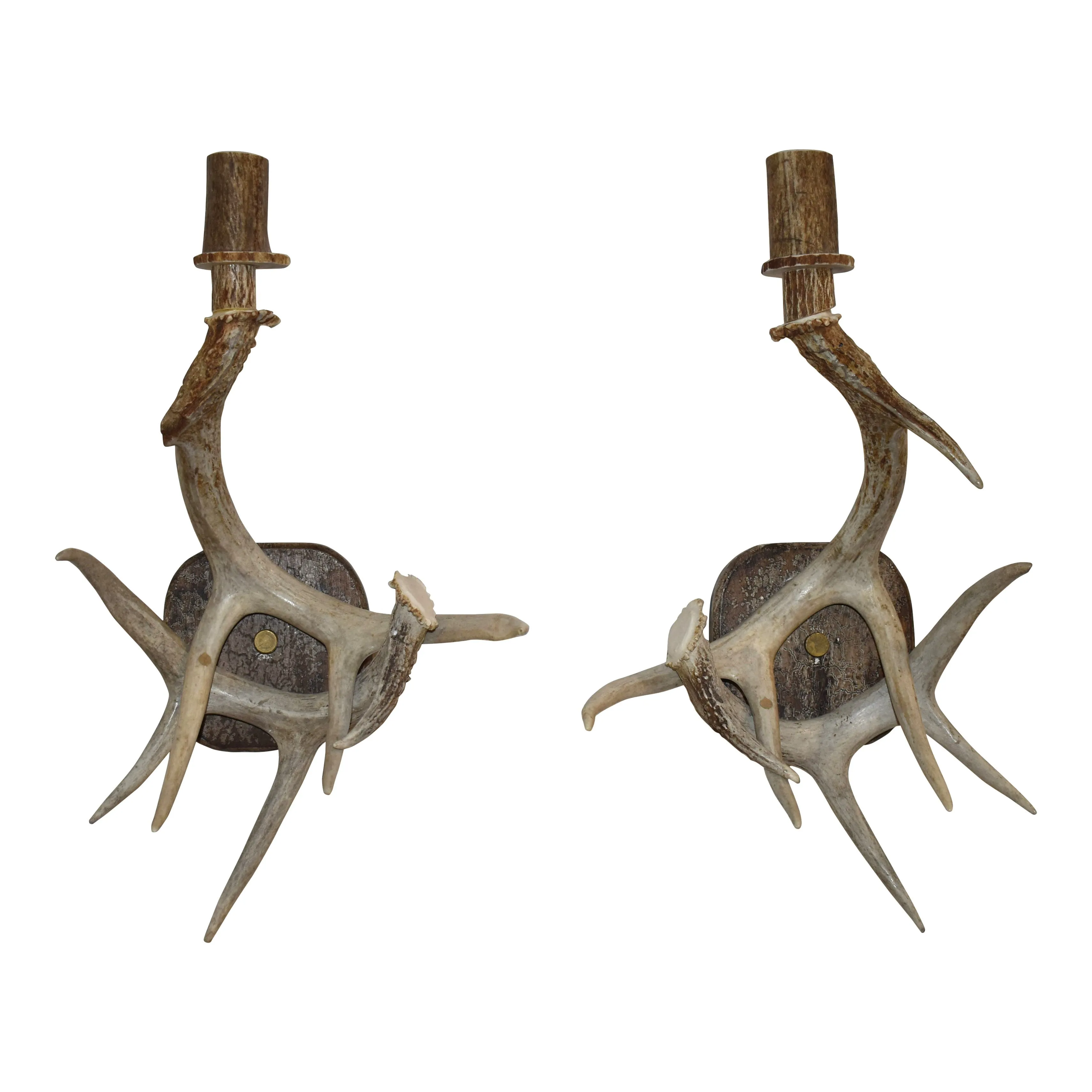 Antler Wall Sconces, Set of Two