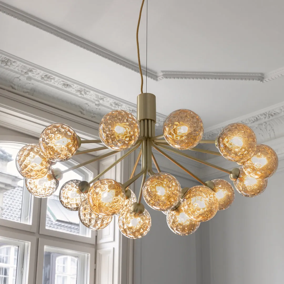 Apiales 18 Chandelier