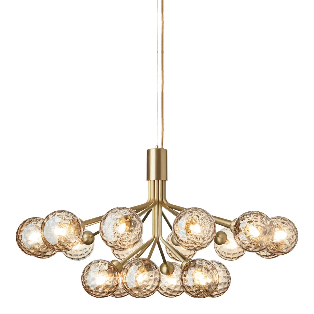 Apiales 18 Chandelier