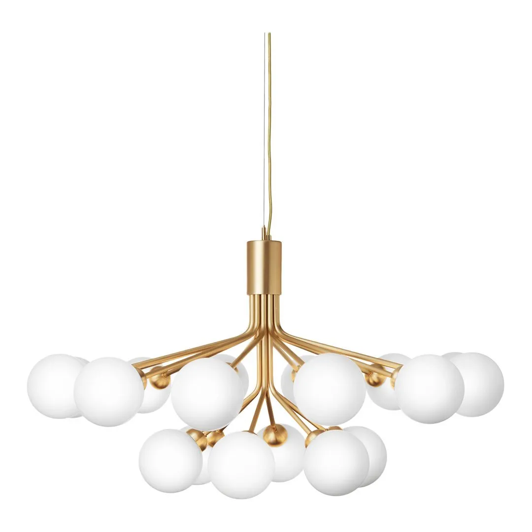 Apiales 18 Chandelier