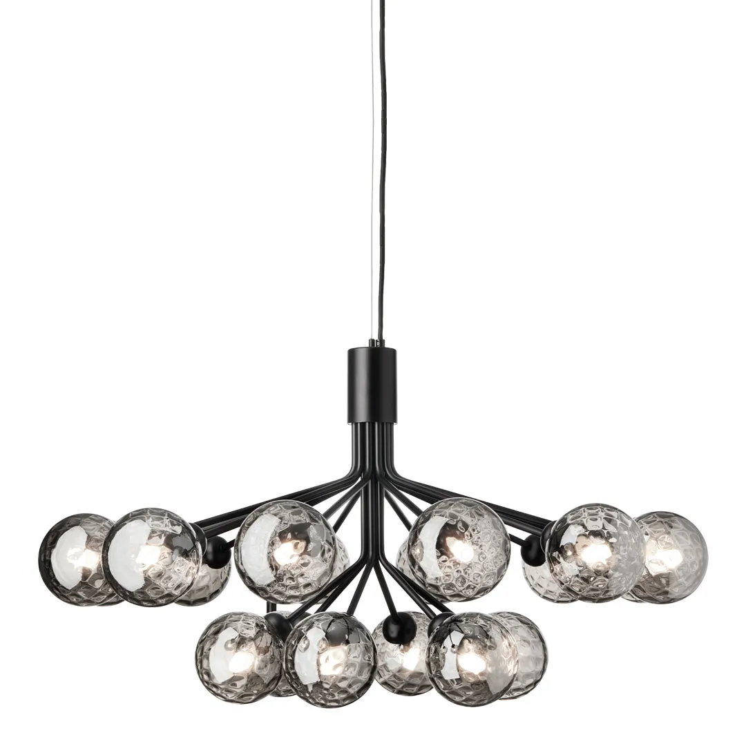 Apiales 18 Chandelier