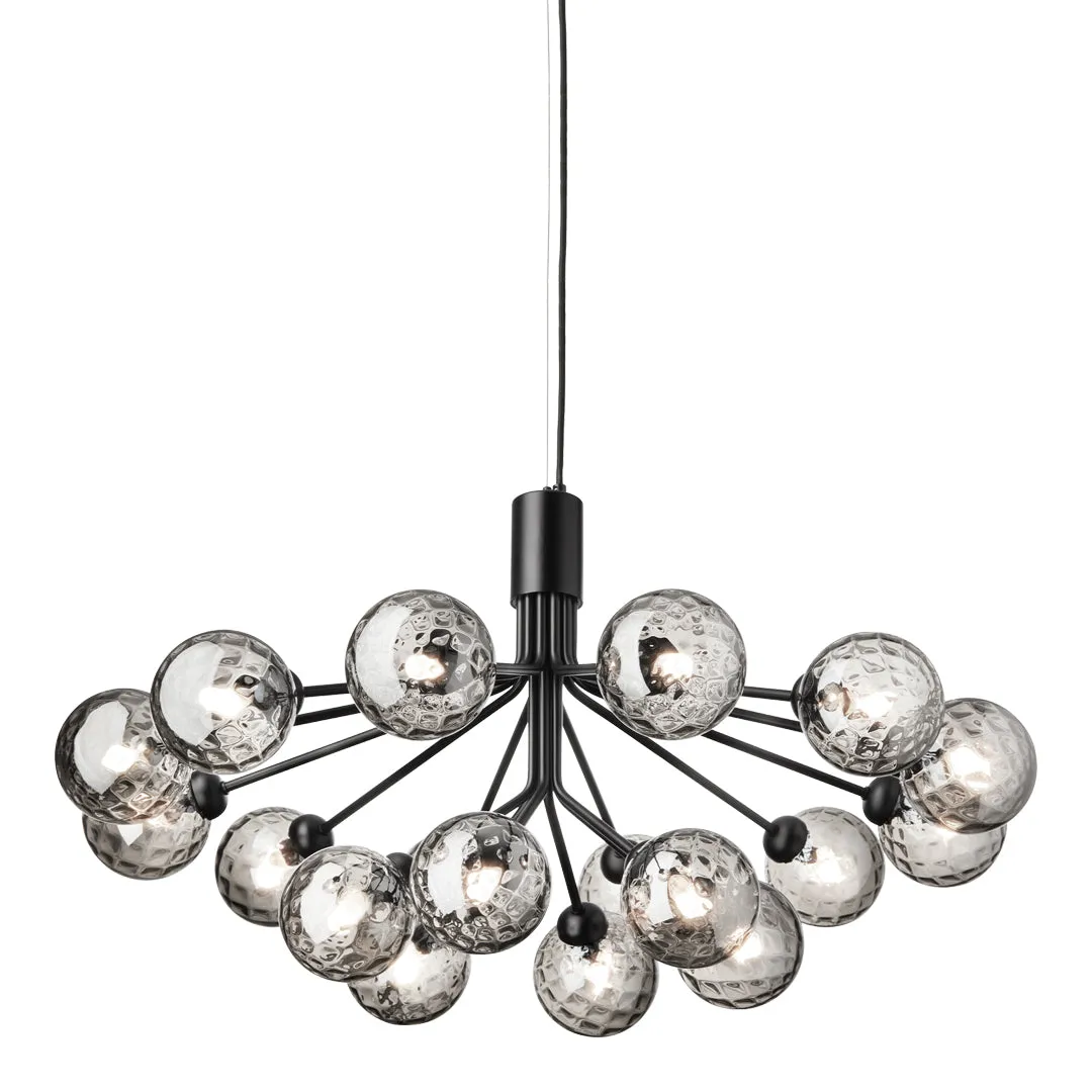 Apiales 18 Chandelier