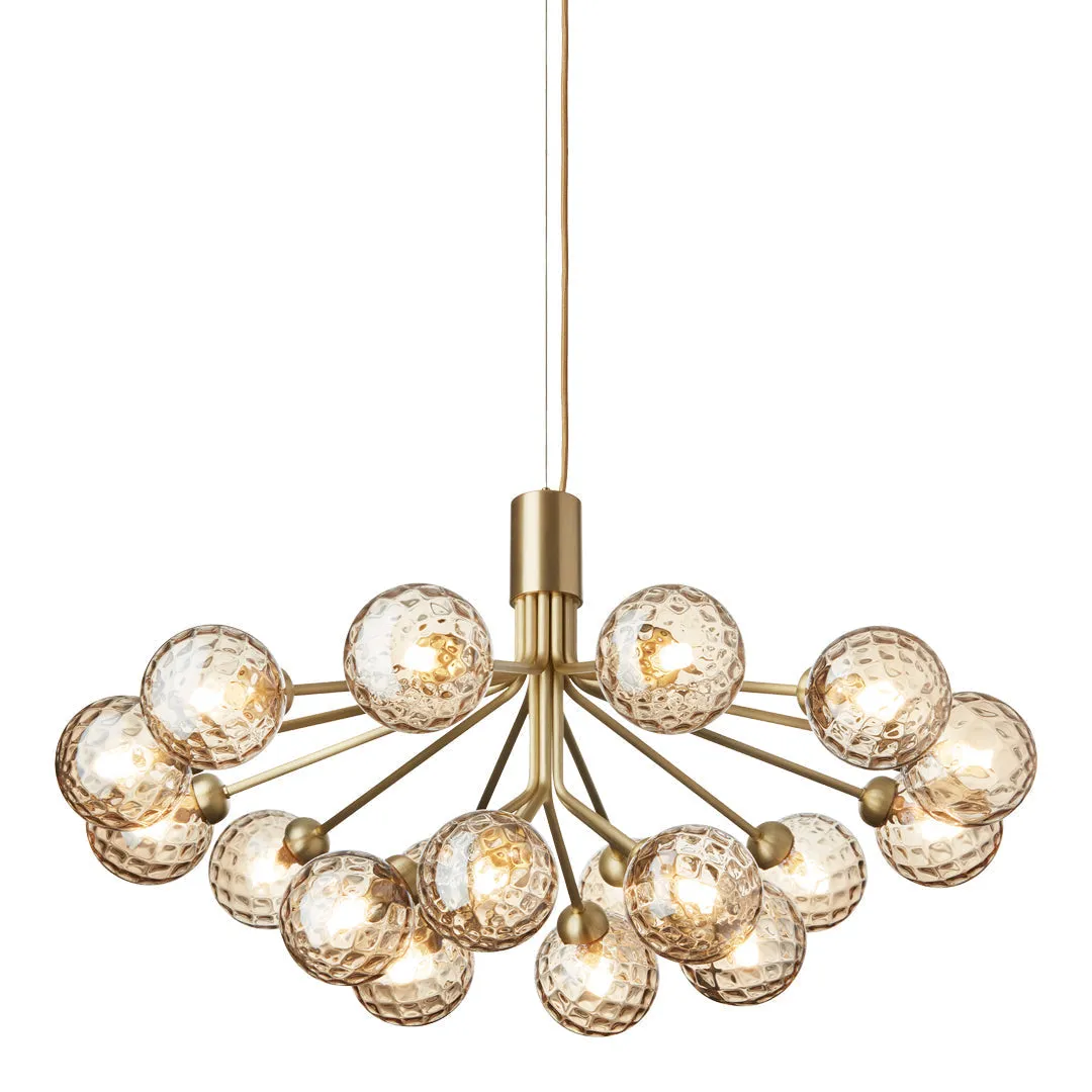 Apiales 18 Chandelier