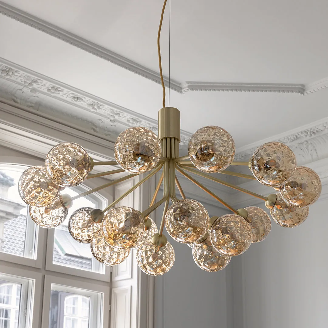 Apiales 18 Chandelier