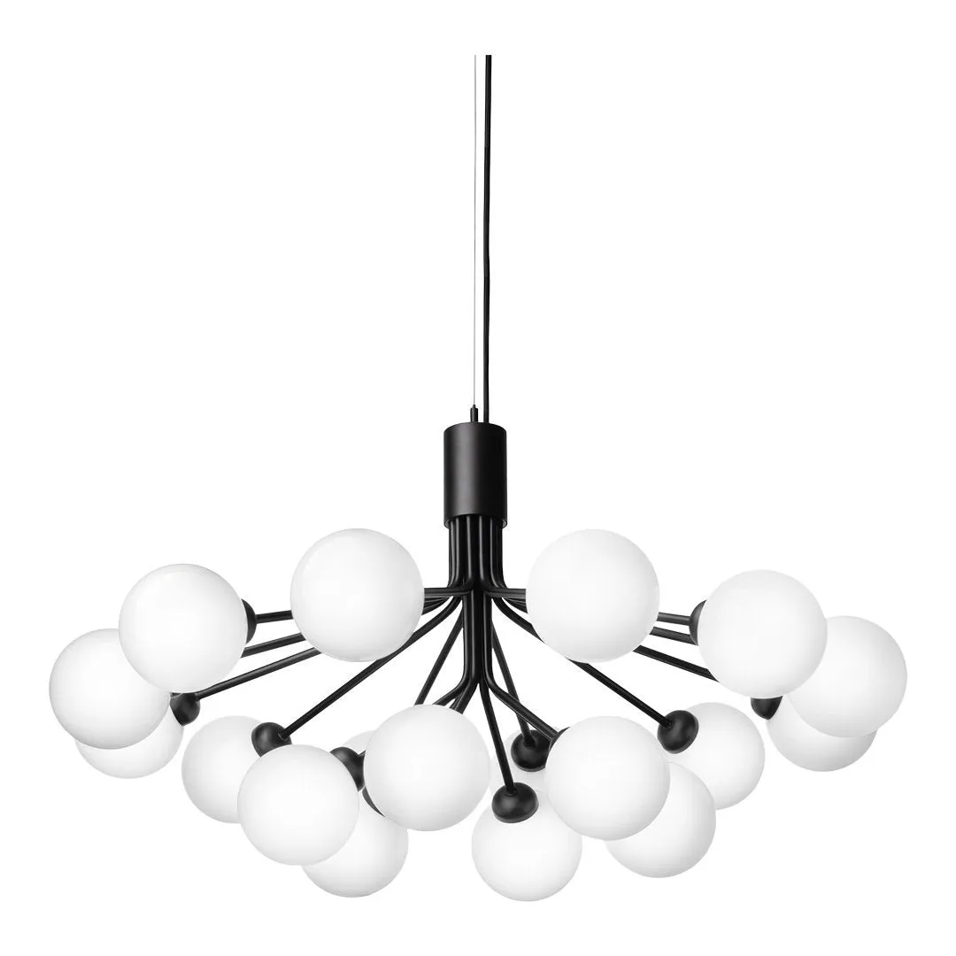 Apiales 18 Chandelier