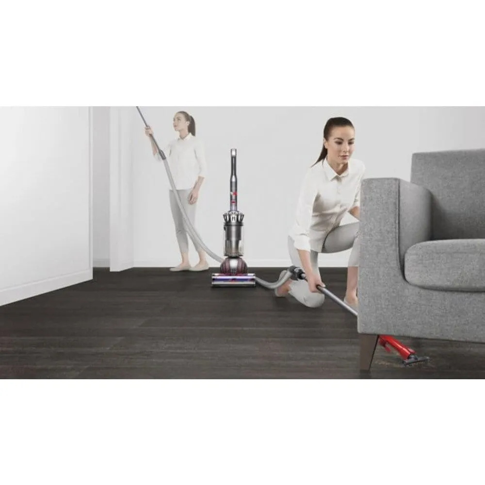 Dyson BALLANIMALNEW Ball Animal Upright Vacuum Cleaner - Silver