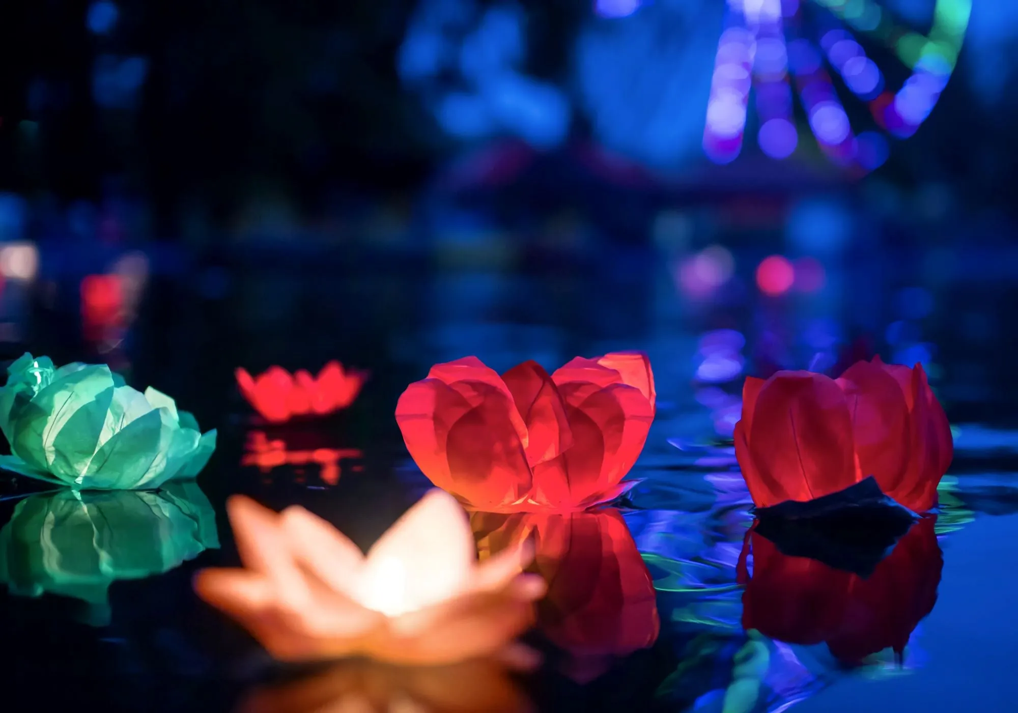 Floating Lotus Flower Water Lanterns