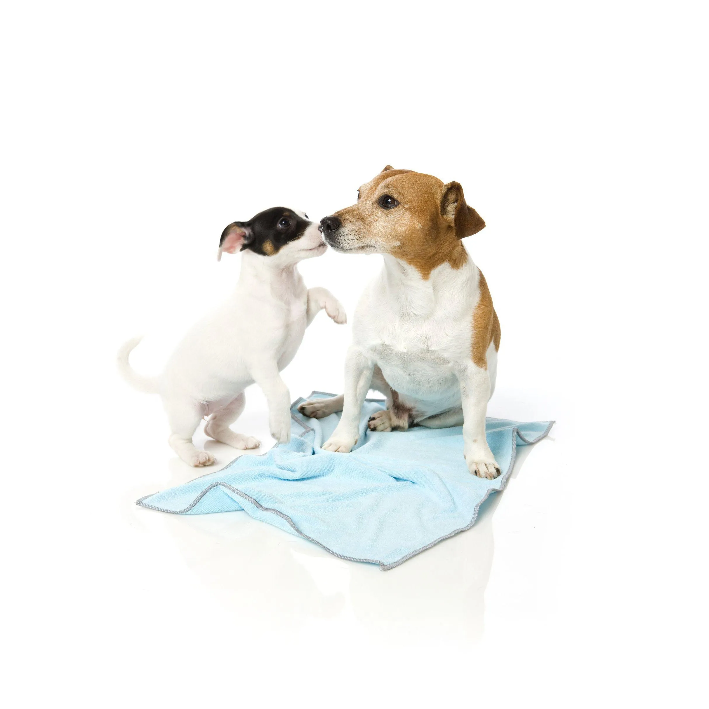 Fuzzyard | Microfibre Drying Towel For Puppies - Blue With Grey Trim