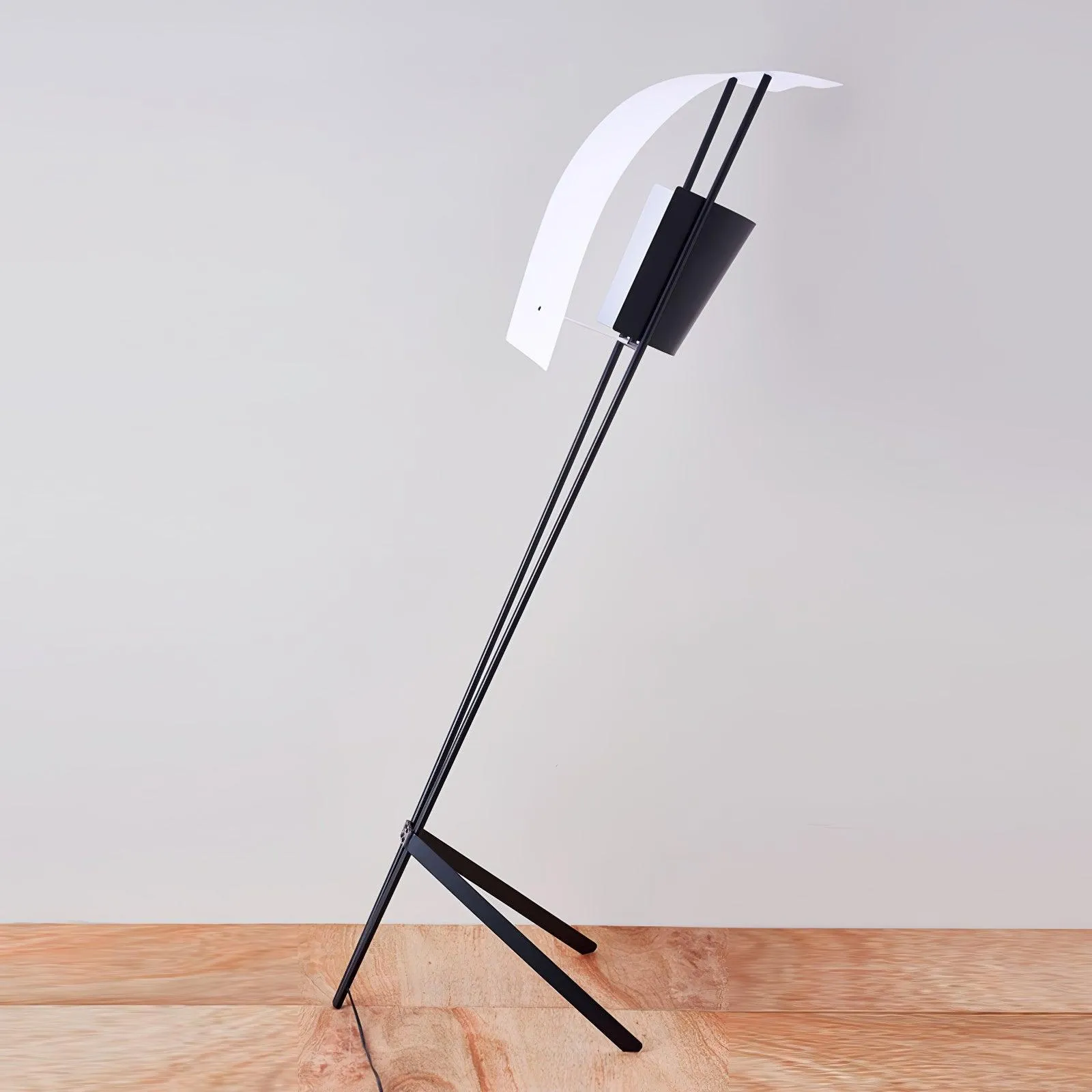 Kite Floor Lamp