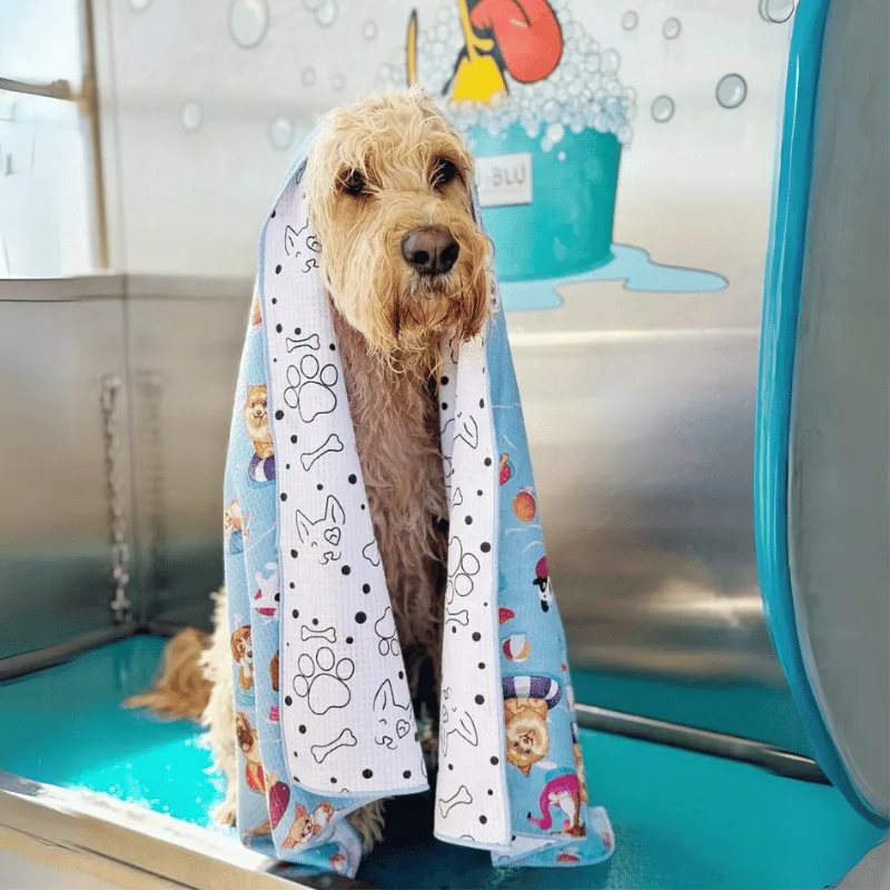 Pool Party - Adventure Dog Towel