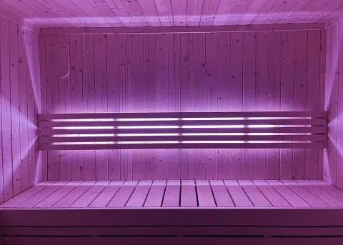 SaunaLife Lighting for Model X6 Sauna