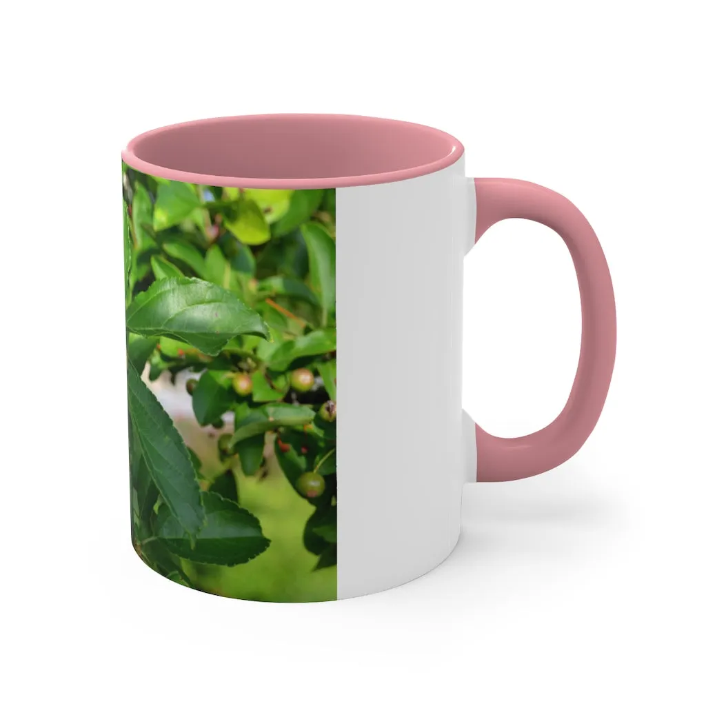 Seeds and Green Leaves Accent Coffee Mug, 11oz