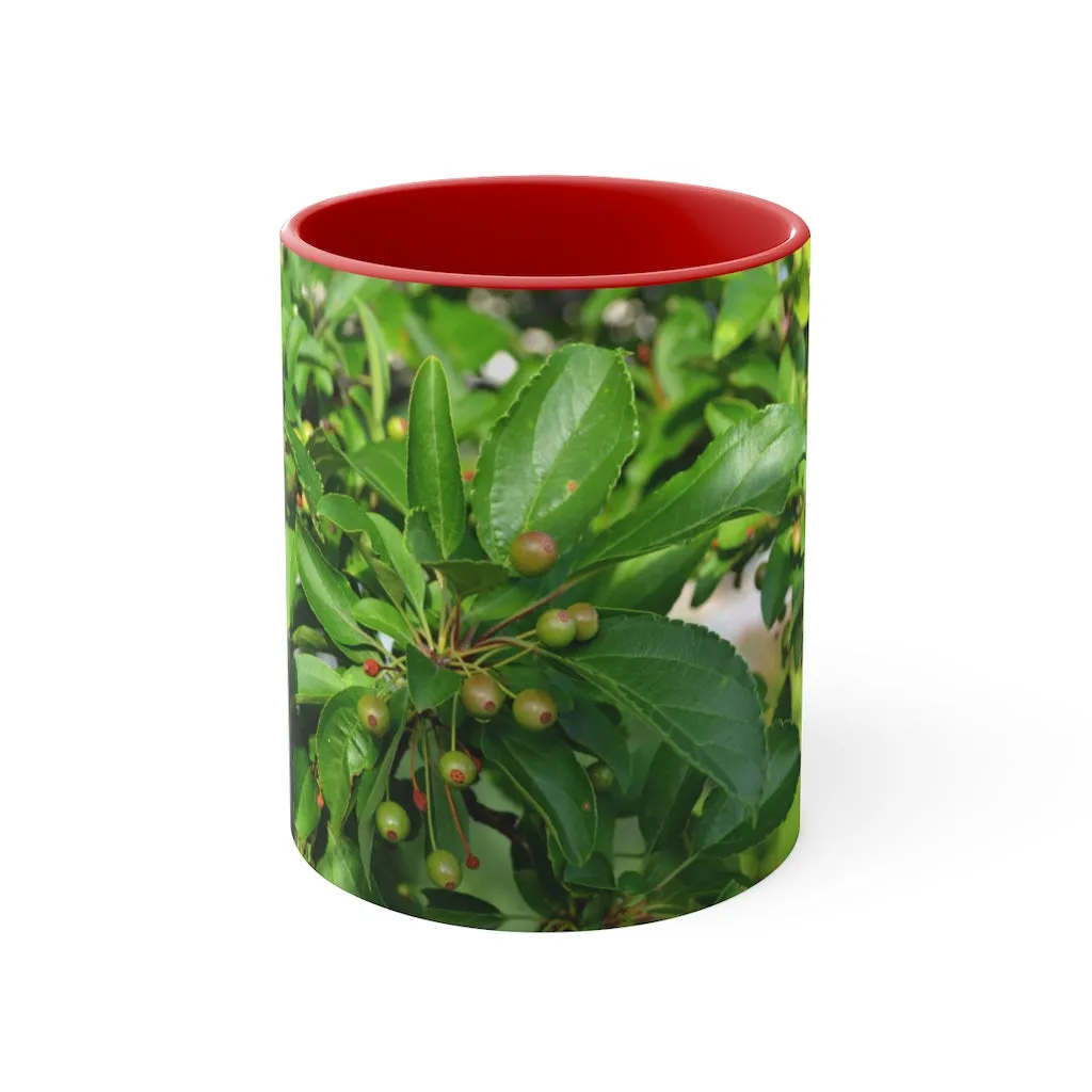 Seeds and Green Leaves Accent Coffee Mug, 11oz