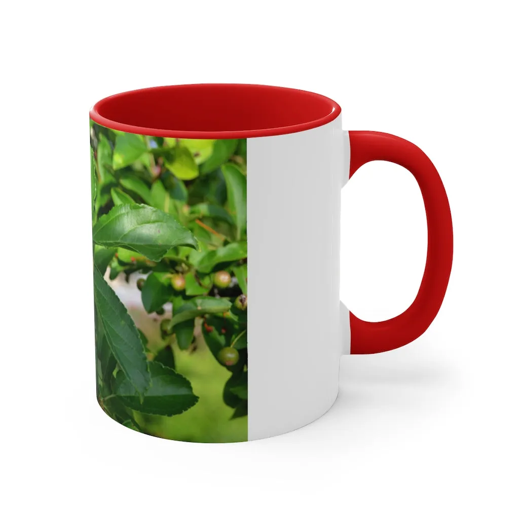 Seeds and Green Leaves Accent Coffee Mug, 11oz