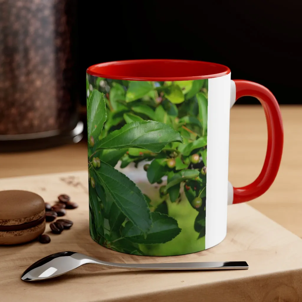 Seeds and Green Leaves Accent Coffee Mug, 11oz