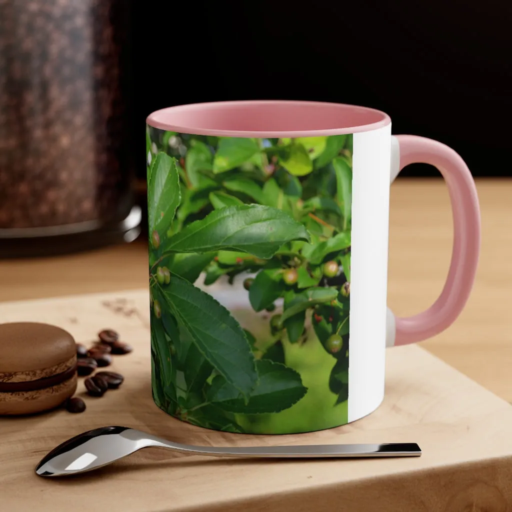 Seeds and Green Leaves Accent Coffee Mug, 11oz