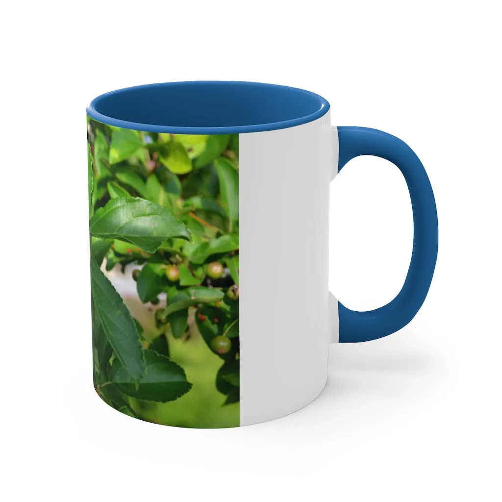 Seeds and Green Leaves Accent Coffee Mug, 11oz