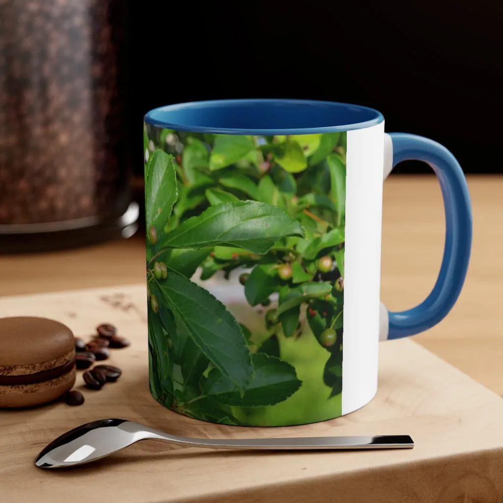 Seeds and Green Leaves Accent Coffee Mug, 11oz