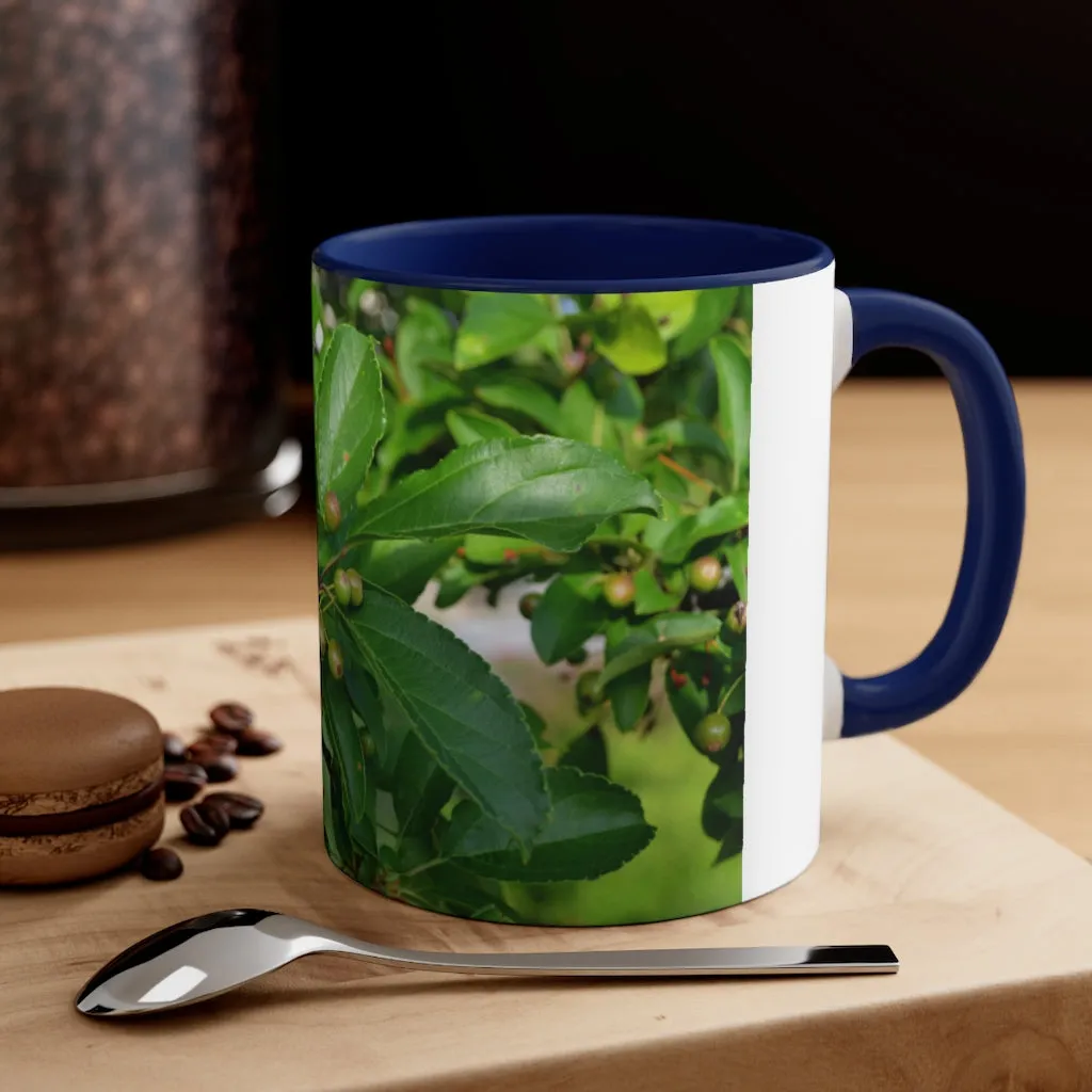 Seeds and Green Leaves Accent Coffee Mug, 11oz