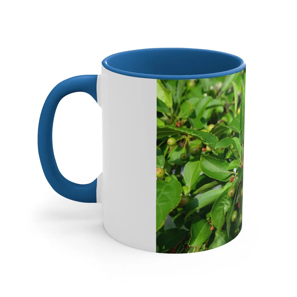 Seeds and Green Leaves Accent Coffee Mug, 11oz