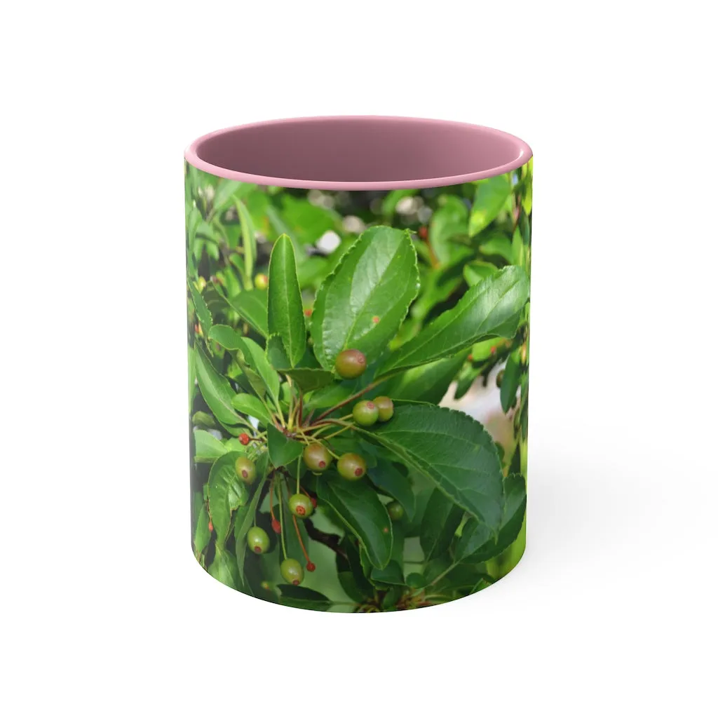 Seeds and Green Leaves Accent Coffee Mug, 11oz