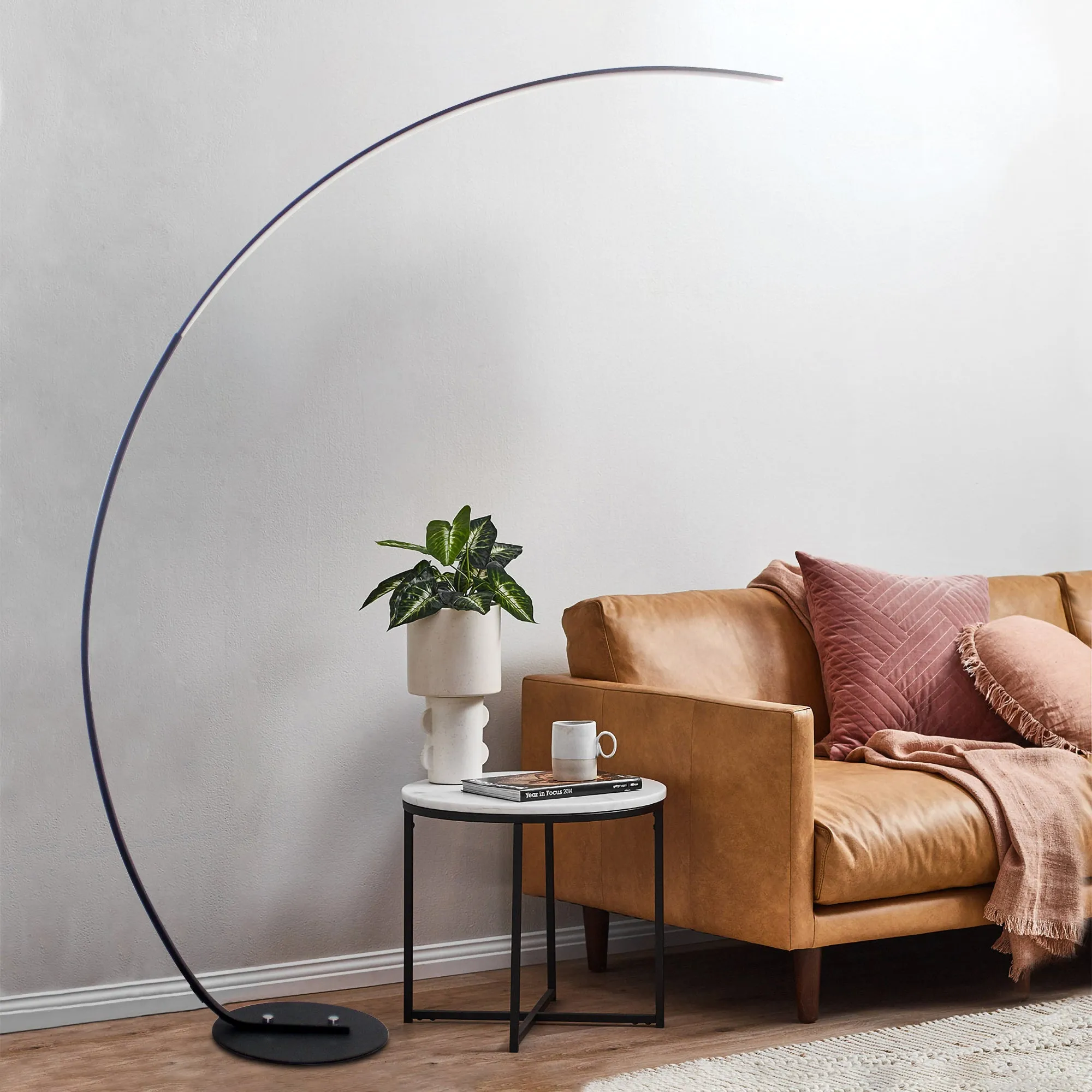 Sleek Modern Curve Floor Lamp with remote